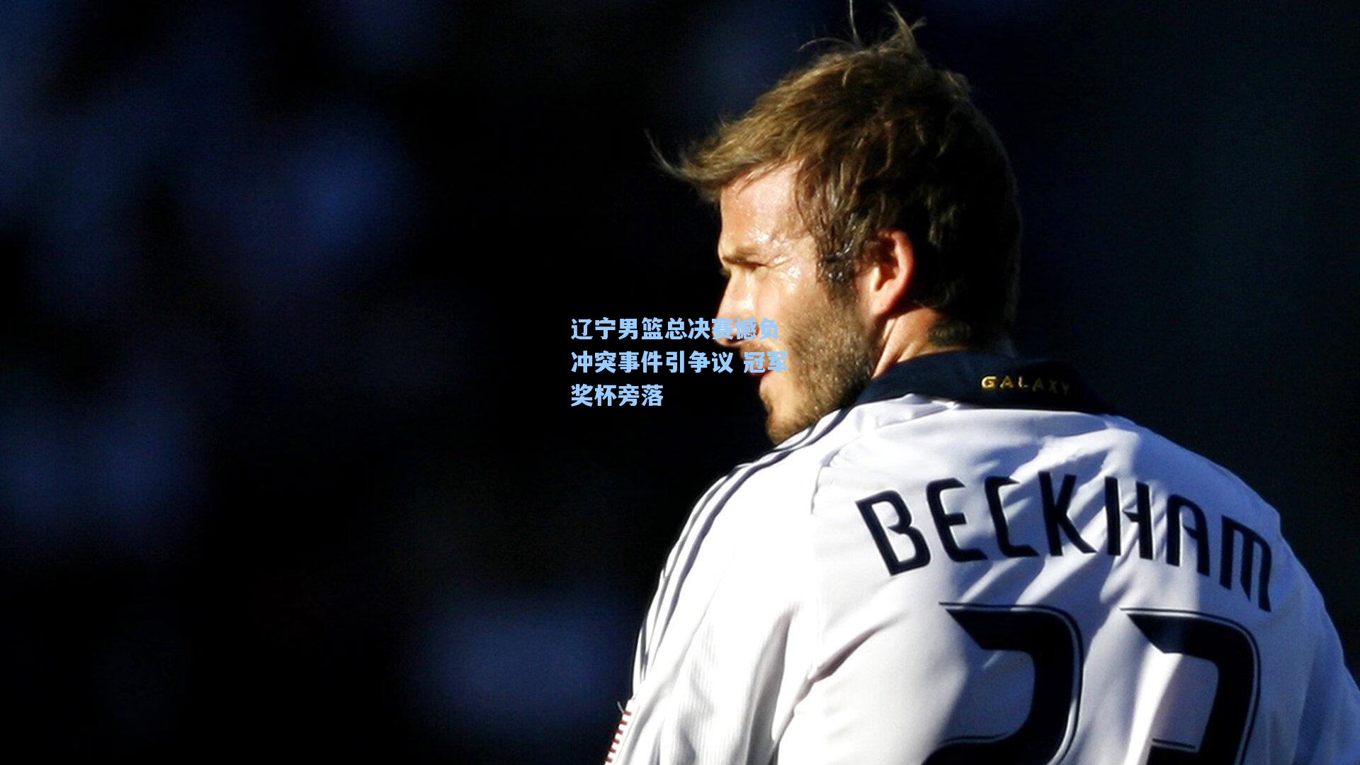 辽宁男篮总决赛憾负 冲突事件引争议 冠军奖杯旁落