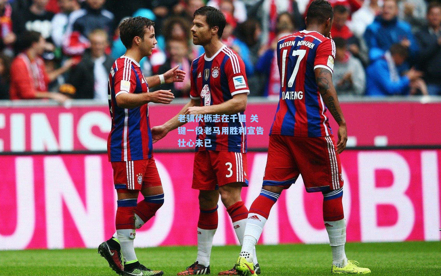 老骥伏枥志在千里 关键一役老马用胜利宣告壮心未已