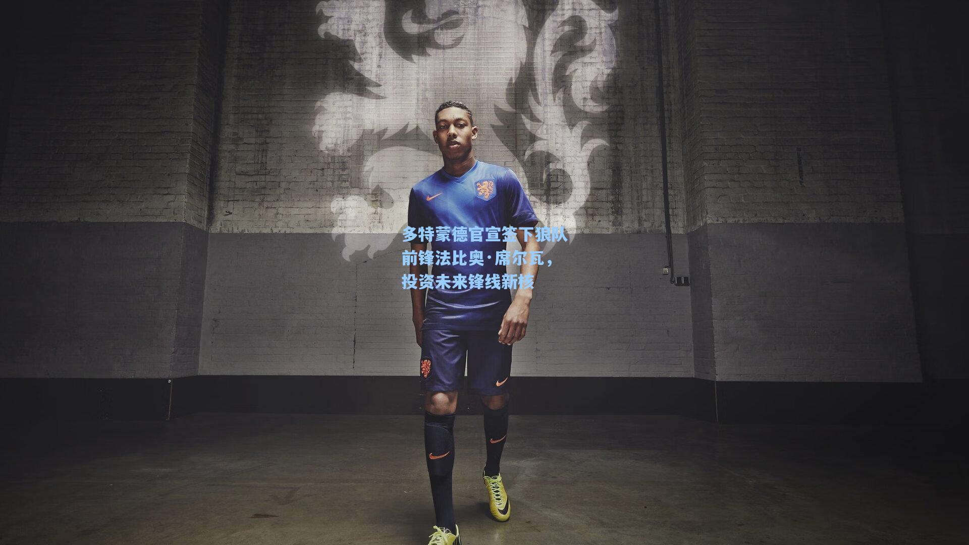 多特蒙德官宣签下狼队前锋法比奥·席尔瓦，投资未来锋线新核