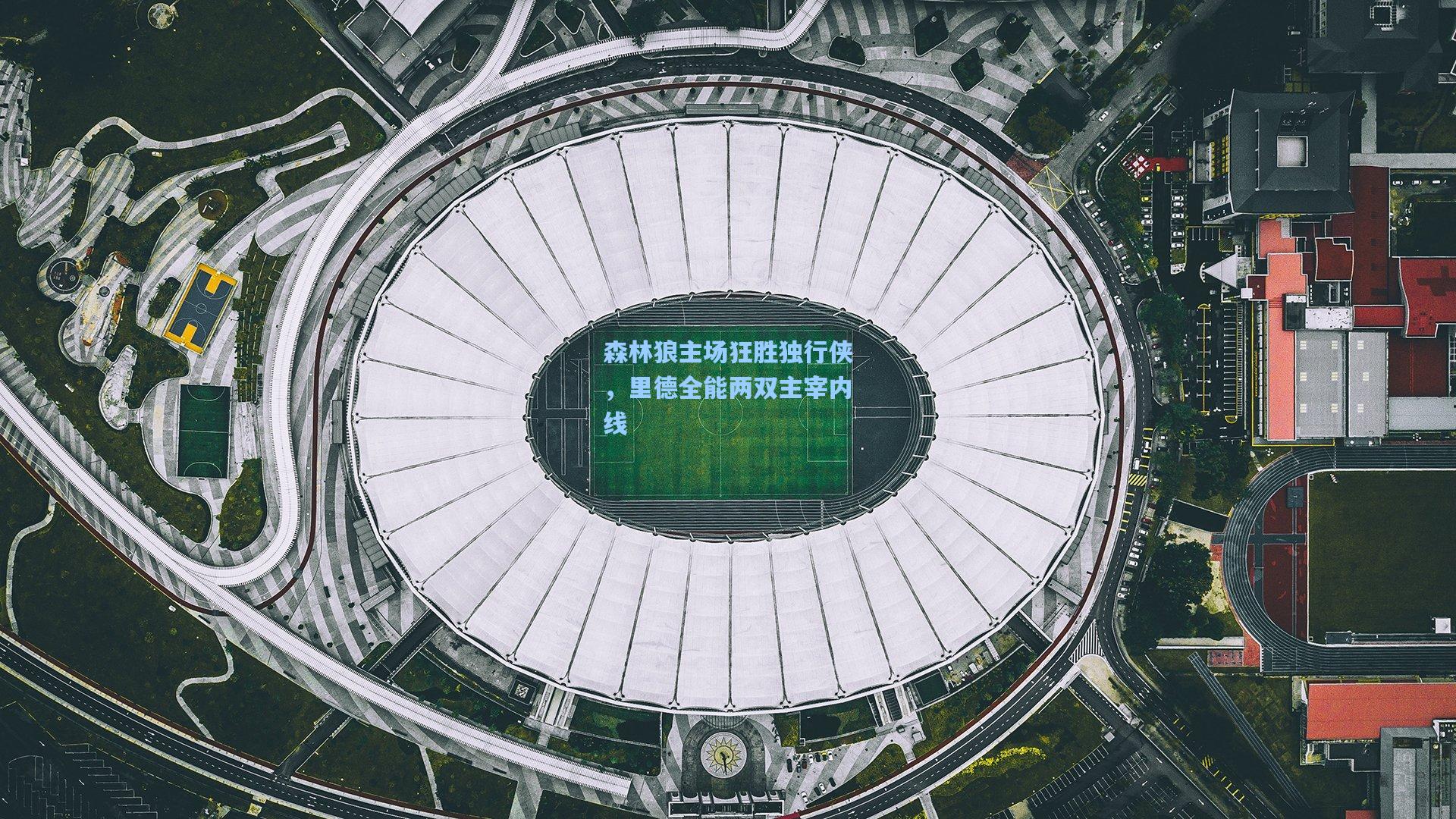 森林狼主场狂胜独行侠，里德全能两双主宰内线