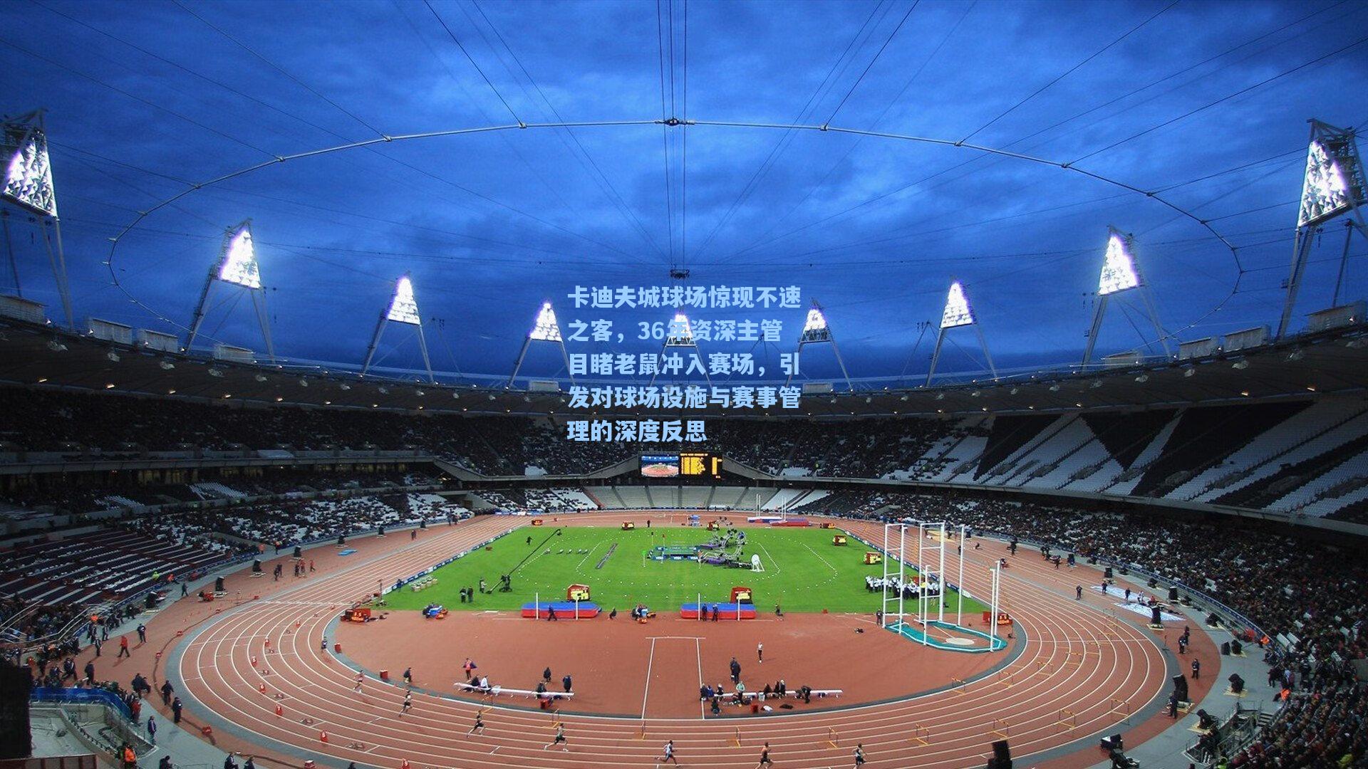 卡迪夫城球场惊现不速之客，36年资深主管目睹老鼠冲入赛场，引发对球场设施与赛事管理的深度反思