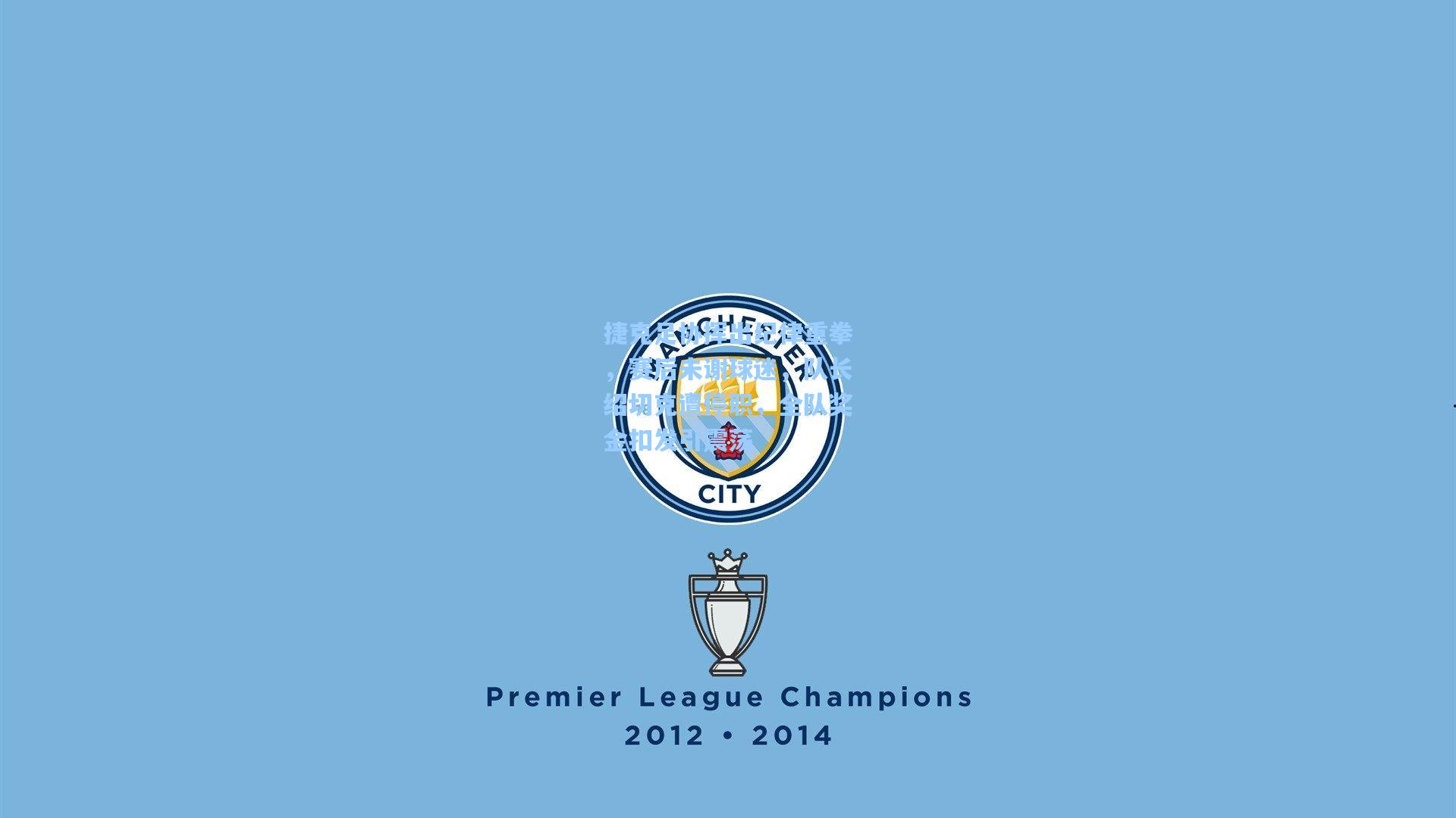 捷克足协挥出纪律重拳,赛后未谢球迷,队长绍切克遭停职,全队奖金扣发引震荡